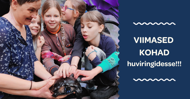 Viimased kohad huviringidesse! Kiirusta!