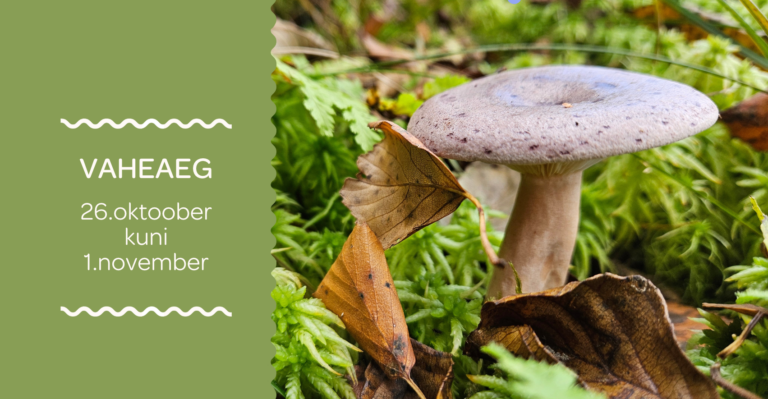 Koolivaheaeg 26.oktoober kuni 1.november